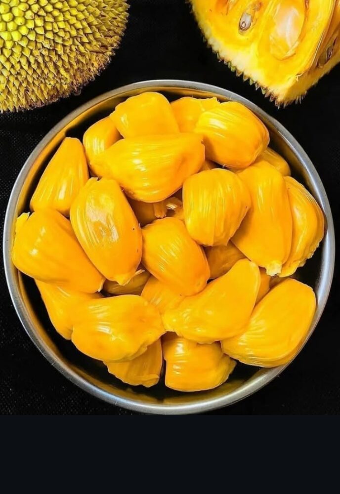 ಜೂನ್ 21 ಮತ್ತು 22, 2025ರಂದು ಬೆಂದೂರ್ ವೆಲ್ನ ಸೇಂಟ್ ಸೆಬಾಸ್ಟಿಯನ್ ಸೆಂಟಿನರಿ ಆಡಿಟೋರಿಯಂನಲ್ಲಿ ” ಕುಡ್ಲ ಪೆಲಕಾಯಿ ಪರ್ಬ”