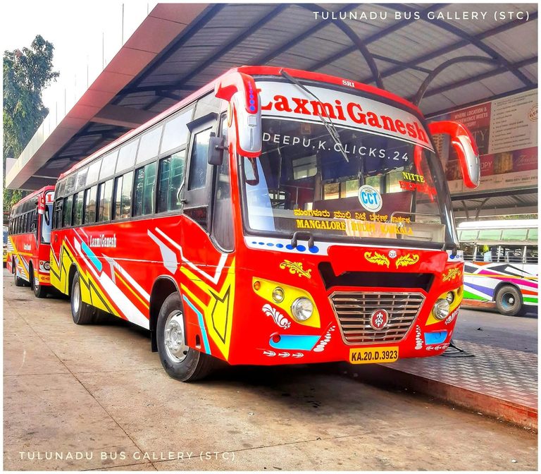ಚಲಿಸುತ್ತಿದ್ದ ಬಸ್ಸಿನ ಮುಂಭಾಗದ ಗಾಜಿಗೆ ಗಿಡುಗ ಡಿಕ್ಕಿ: ಚಾಲಕನ ಸಮಯಪ್ರಜ್ಞೆಗೆ ಮೆಚ್ಚುಗೆ